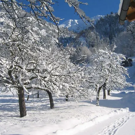 בית הארחה Bessler 3*